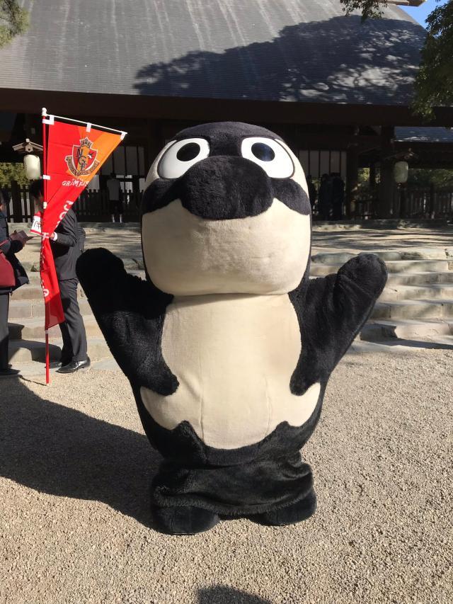 1618741561311075363.jpg 87.jpg